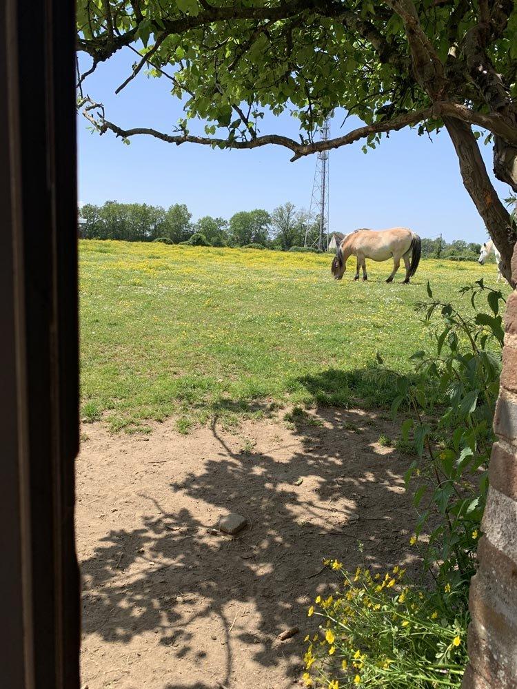 Gîte de Léon — photo 2