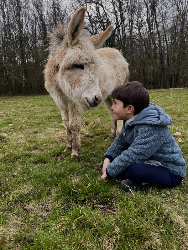 ferme du chateau de saint fargeau ane et petit garcon