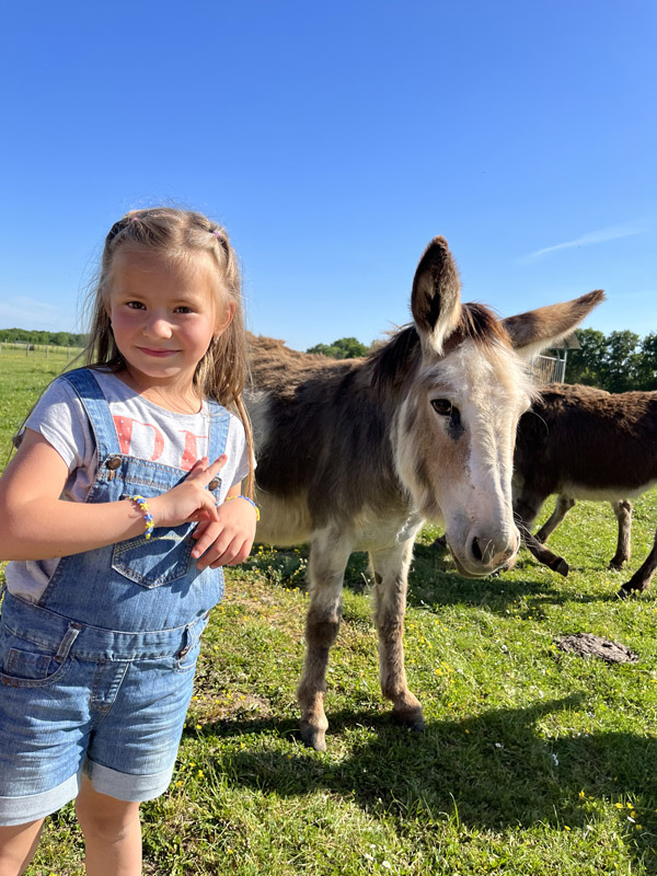 ferme du chateau de saint fargeau ane et petite fille