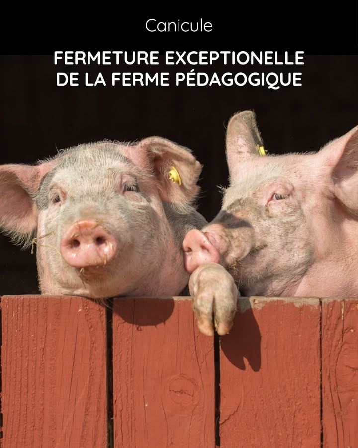La Ferme du Château