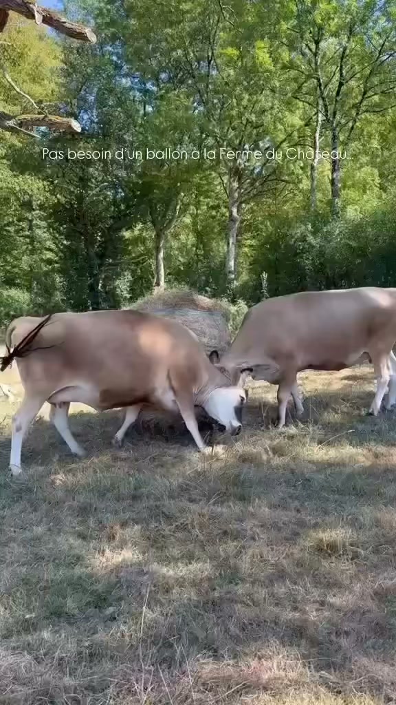 La Ferme du Château